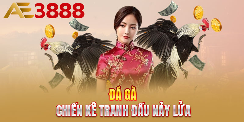 Đá gà - Chiến kê tranh đấu nảy lửa