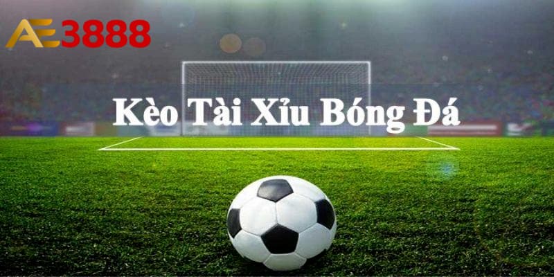 Hướng dẫn đọc chính xác kèo tài xỉu là gì